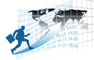 开云体育app-中国篮球职业联赛赛事运营管理优化研究，中国篮球竞赛体系