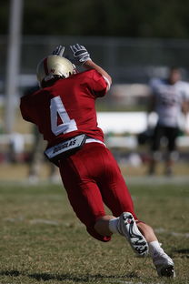 开云体育在线官网-德甲球队视频分析辅助防守站位调整的实证研究，德甲防守最好的球队