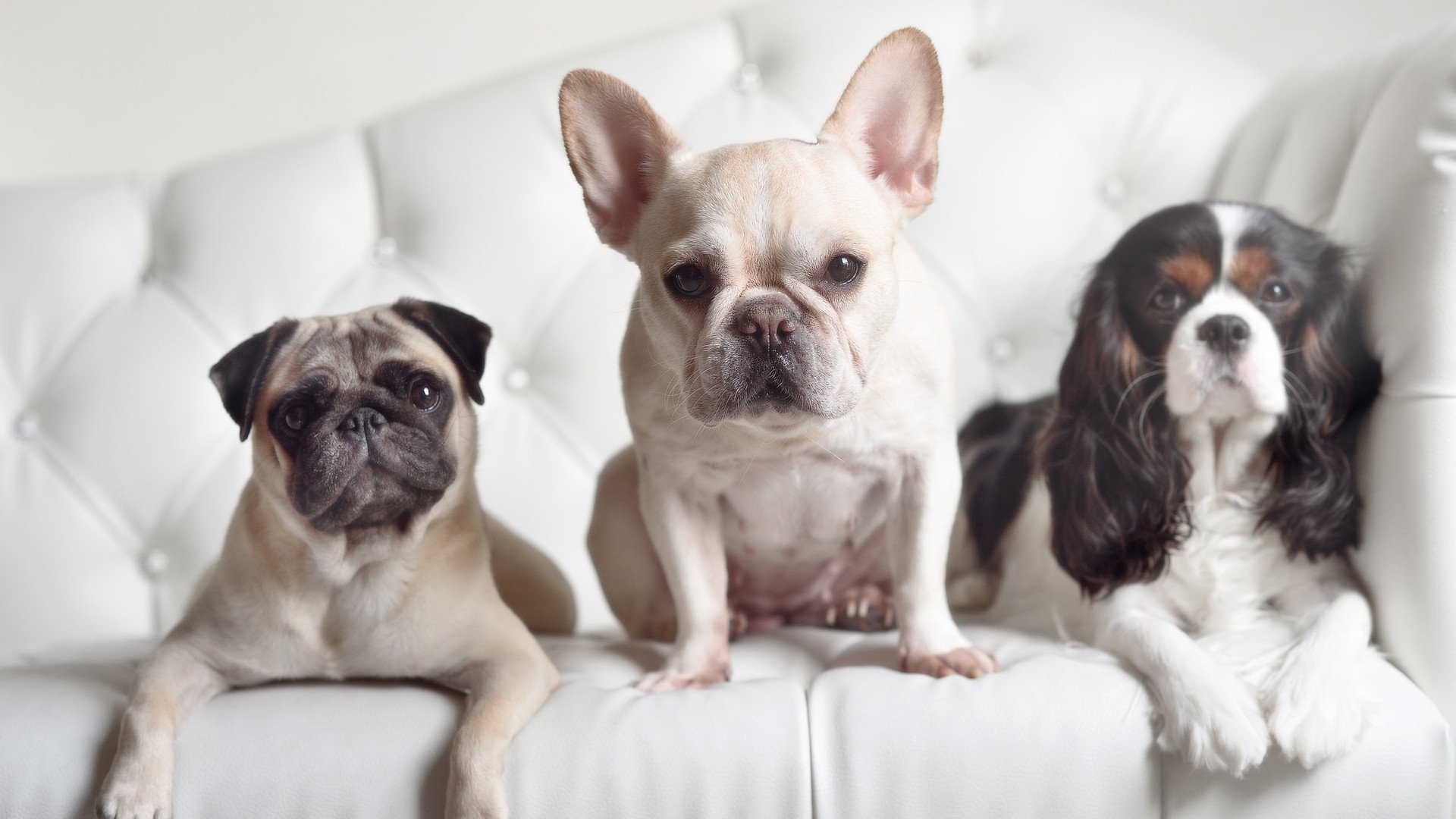 朗斯加强防守覆盖范围扩大拦截面积,朗斯球队实力怎么样