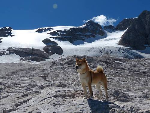 世界杯激情飙升:经典瞬间令人心潮澎湃!,世界杯锦集视频