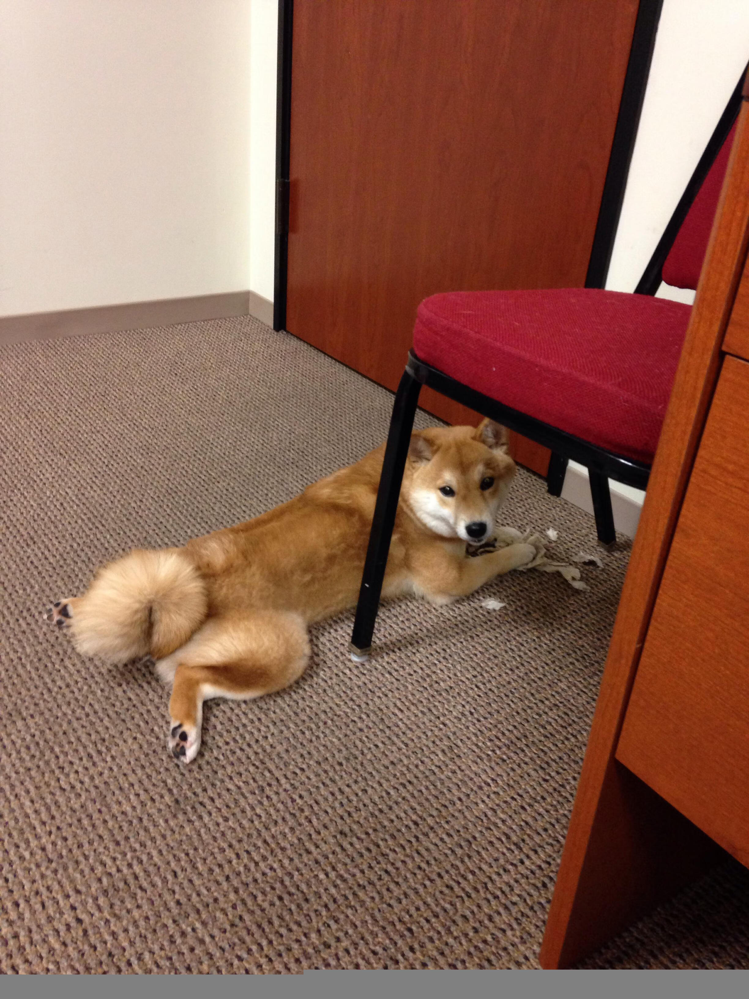 开云体育app在线-史密斯决赛发挥稳定赢得认可，史密斯去哪个队了