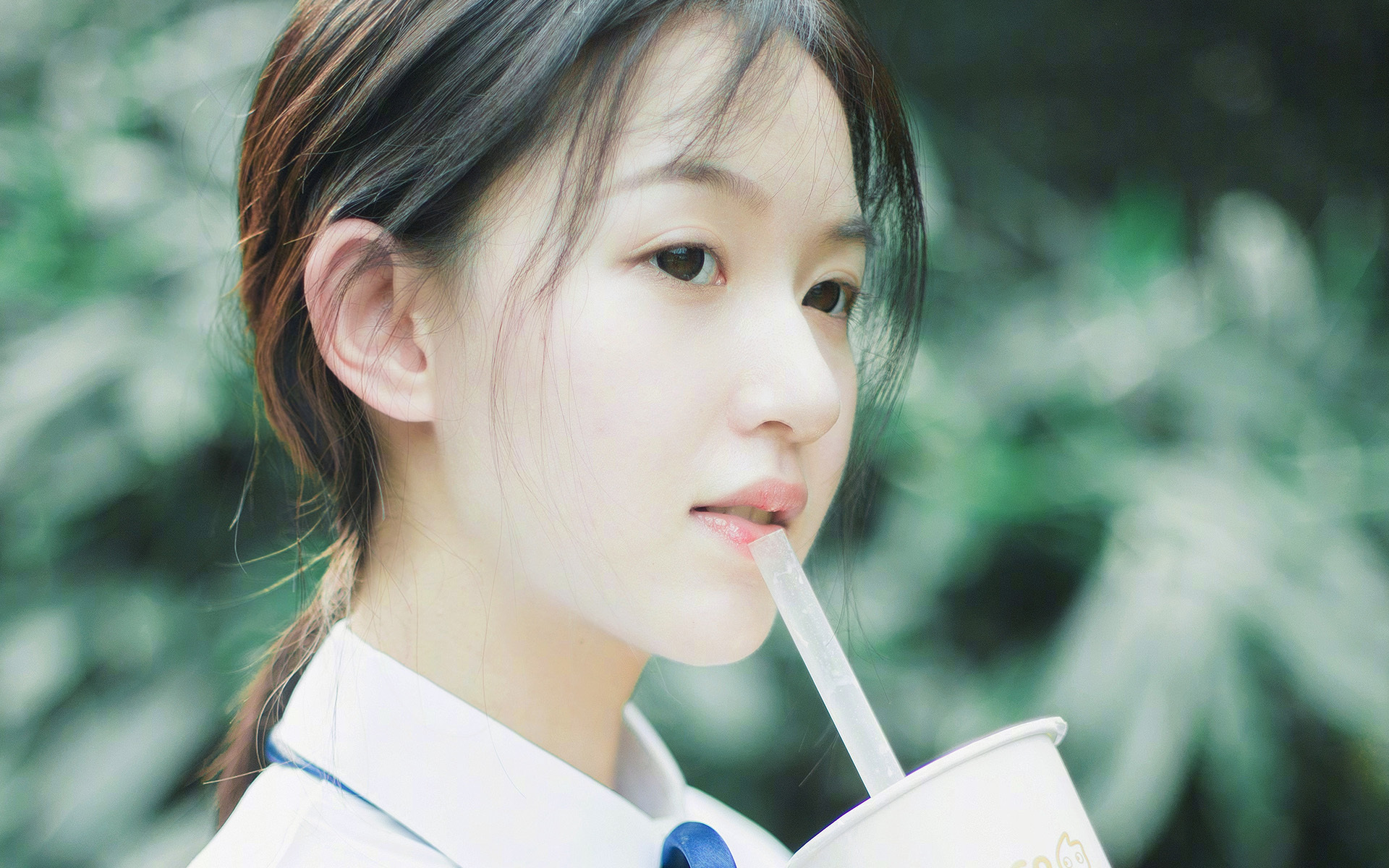 澳大利亚政府支持橄榄球联赛扩展国际市场,澳大利亚橄榄球比分