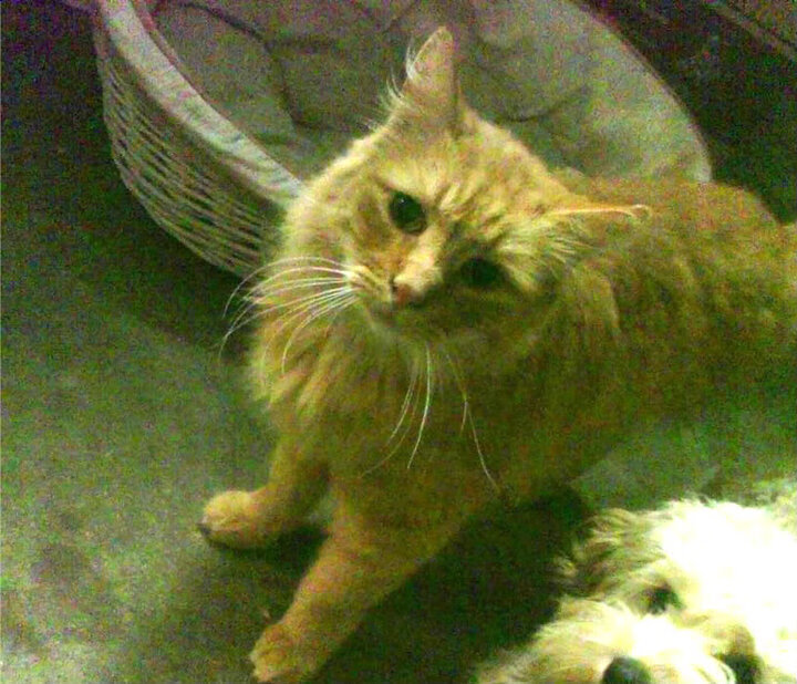 开云体育在线登入-皮特·斯图斯：全能防守球员，带领南非队不断迈向新高度，皮斯特耶