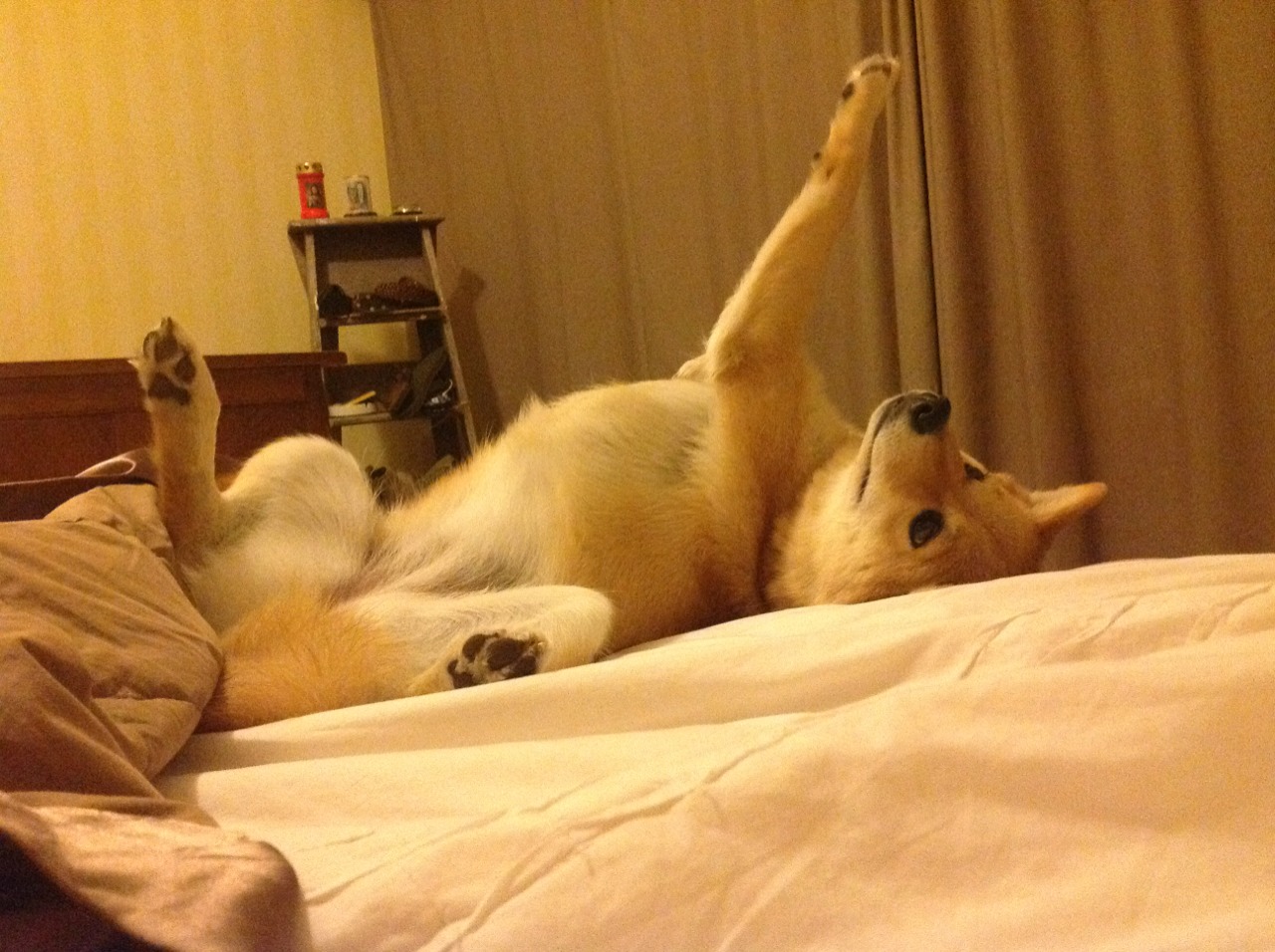 开云体育在线登入-美洲杯激烈拼抢：团队协作和个人突破的完美融合，美洲杯合作伙伴