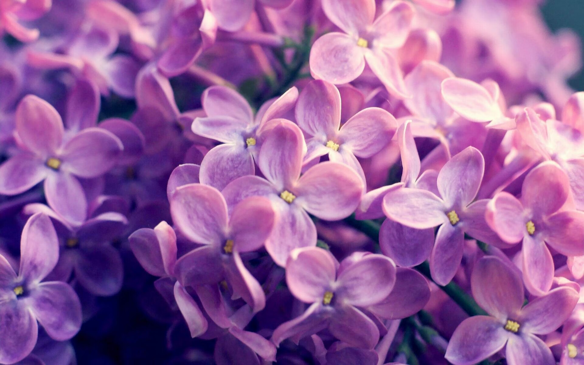 里根·史密斯稳扎稳打摘得佳绩,美国游泳里根史密斯